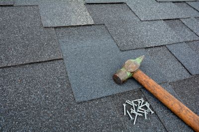 Get Regular Inspections of Your Shingle Roof!