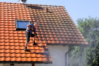 Prevents Algae and Mold Growth