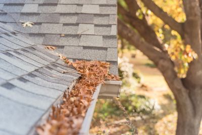 Clogged Gutters