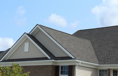 Prevent Mold and Mildew Growth By Getting Professional Roof Replacement